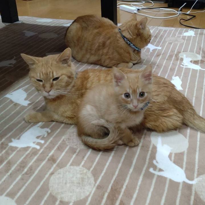 1a959f06 19a2 473f a29b 9ced2a34300f 1670633953665