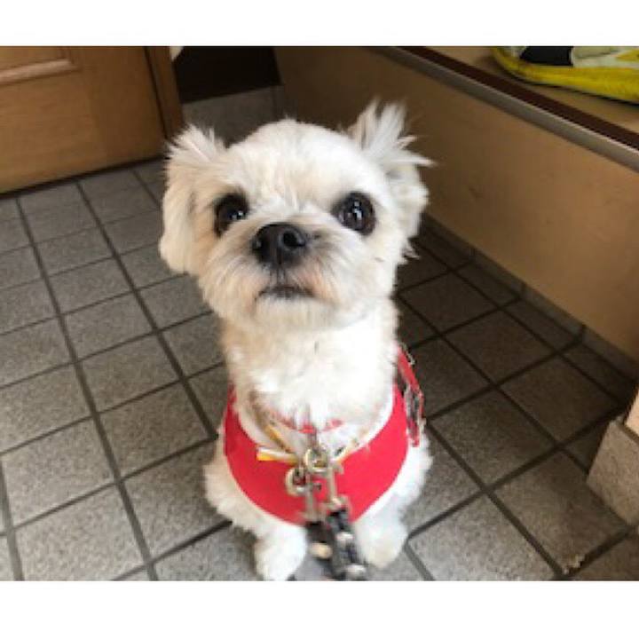 1a95b9e3 1189 4c96 8c3f f5faed307c75 1518525084058