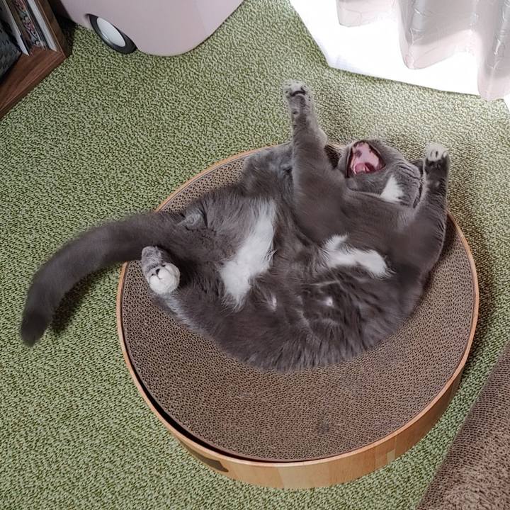 1a95d0b9 fdb1 4214 8bd1 19f24ed3a933 1645315496692