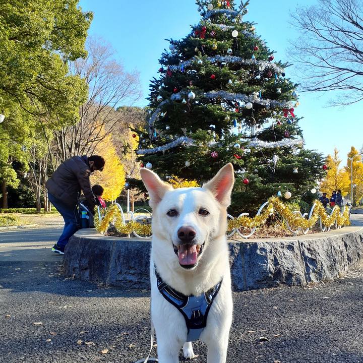 1a95d7f8 8780 4515 a288 d2593997ce69 1638602198033