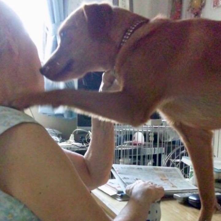 1a961c82 b27e 4135 a5bf 99536e05e8fd 1556582754352