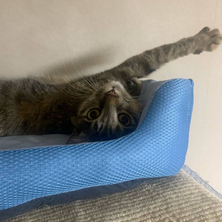 1a9628f8 0ad3 4b35 96f4 bb3e82e25e14 1622539494768