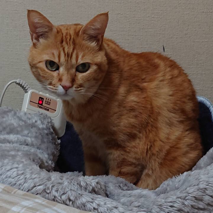 1a963ae7 da9e 4516 8c06 52ffa93e807b 1584116821790