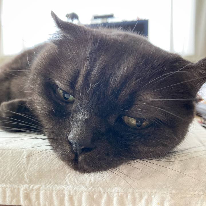 1a964725 47a7 4bd2 a6e6 d5f6d5d578cf 1596856893569