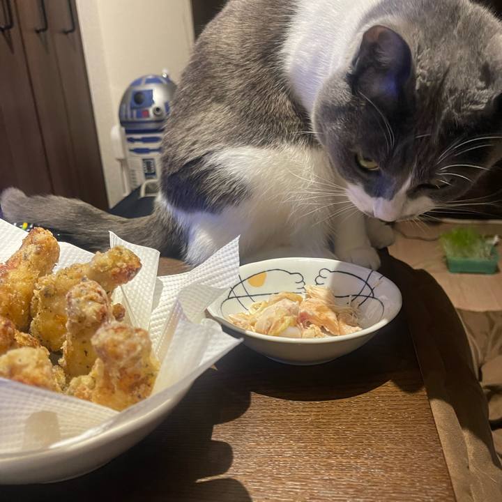 1a9669c3 4ceb 4f97 b99c 241fcd21fea0 1703418298886