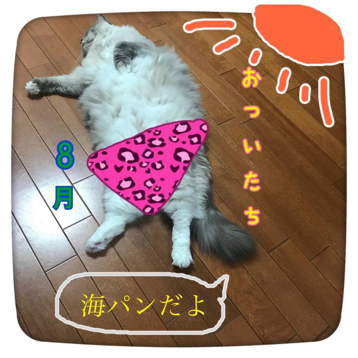 1a966cc5 d5bc 4262 a025 abfa1bac1996 1533073939710