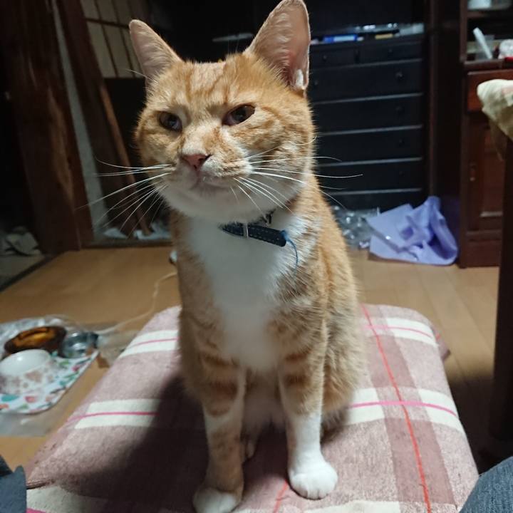 1a96bd5b 7eca 4155 b150 c8deb3297f5f 1600199741603