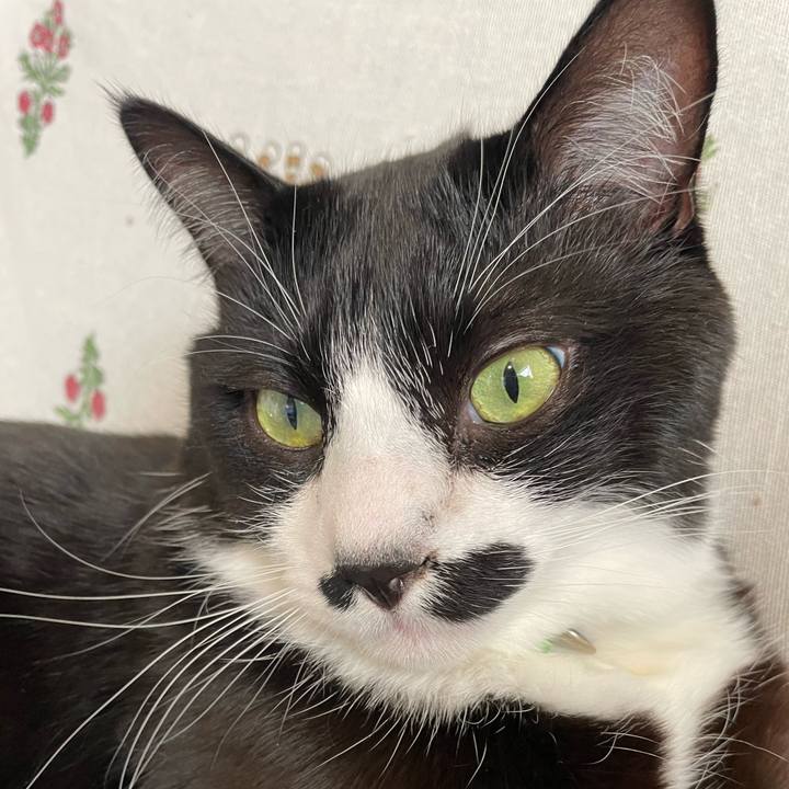 1a96fbf4 715f 4ba3 8a63 65051e394926 1706484046767