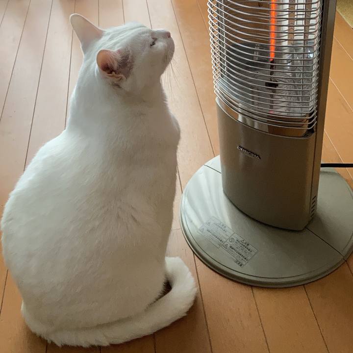 1a97127b a25e 4991 a1dd 1481654328ce 1669863862171