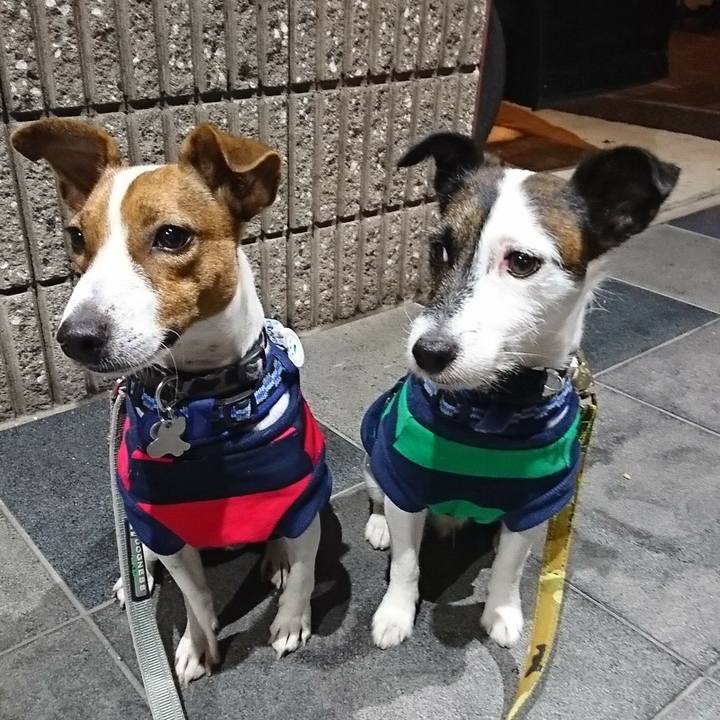 1a971546 6339 44e2 8c0a b04c1739da02 1538049798773