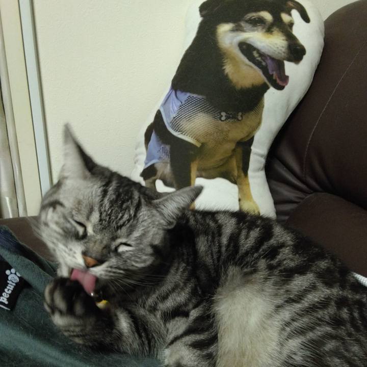 1a972e2d 2bae 47ad 8498 3da78ec441d9 1770978067521