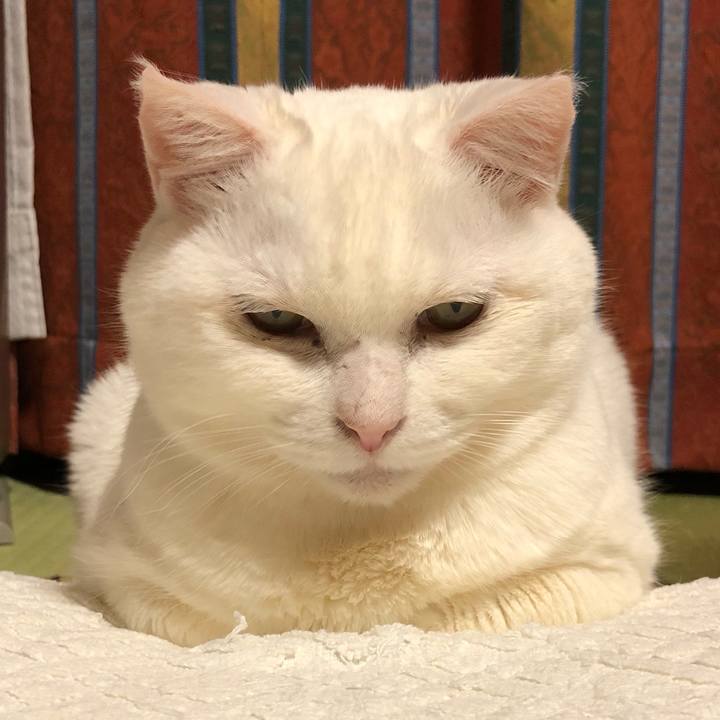 1a97326e b003 4b17 90f4 9bccc473127b 1553412960310