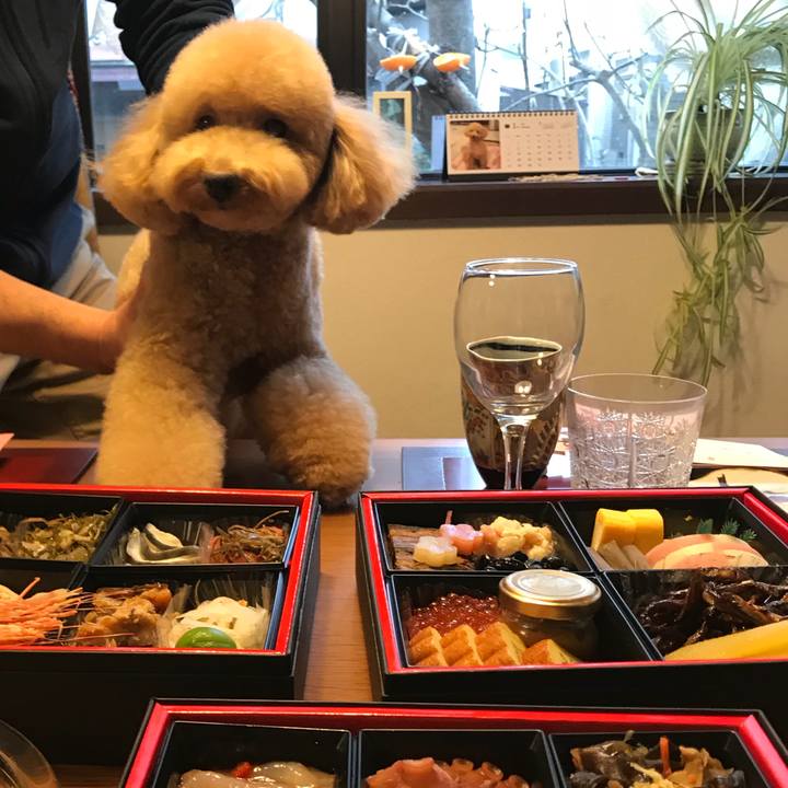 1a97468e d268 46d4 8e45 89aaf2317642 1514803720082