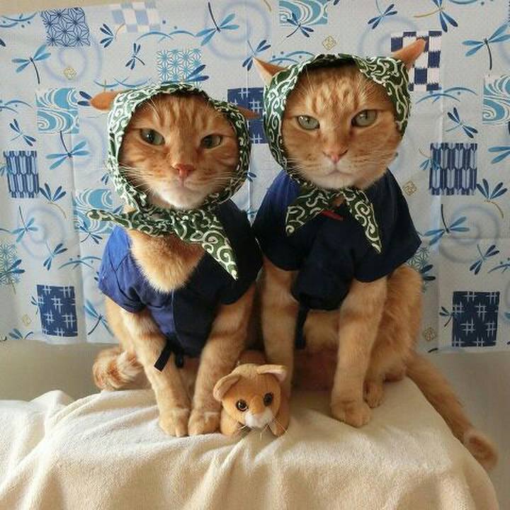 1a97586f 0a46 4924 99f7 a68237b419dd 1512918945584