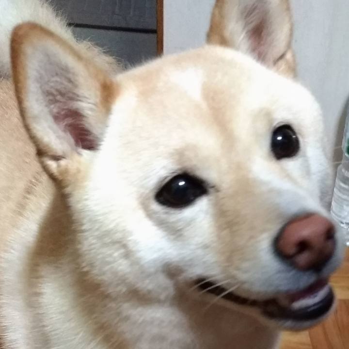 1a97655c ecee 47dd a724 2506b0493f4c 1595885597305