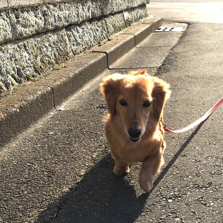 1a979ad5 84cc 4369 a4a8 f165fb2a5bd1 1616075170303