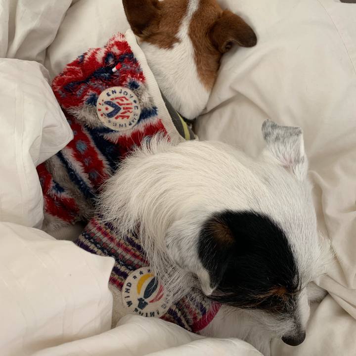 1a97a809 f51d 4795 8087 8693b7b6dc70 1548976468005