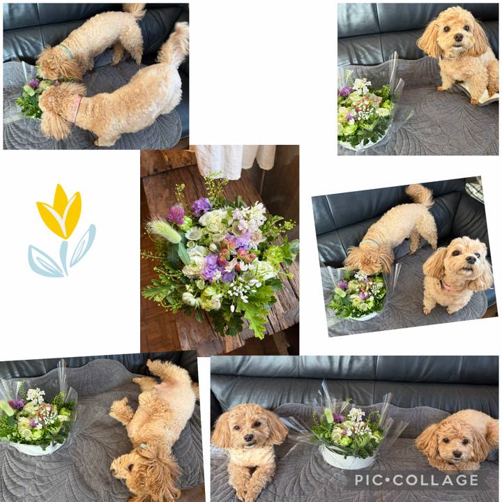 1a97b514 9ed2 41e6 9468 2098b01e790a 1768626194447