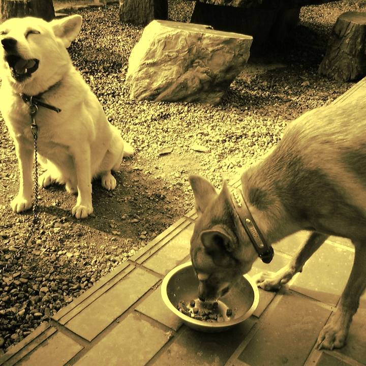 1a97ef56 ee86 461f b383 480867545bfe 1514035972545