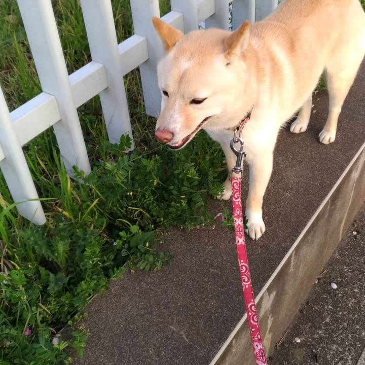 1a980314 41cf 4a1e 9d78 17b35fb04210 1554452750326