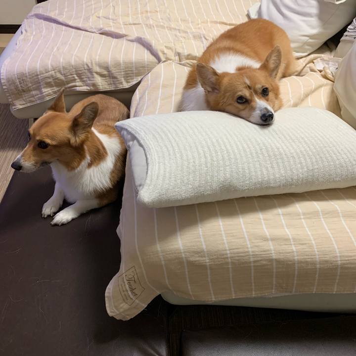 1a981000 8d35 4dd1 99b7 706ccbfbf7a3 1598151013559