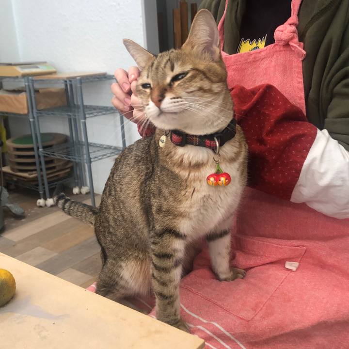 1a981187 96ea 45f4 849f 8f66f1778e04 1643178841298