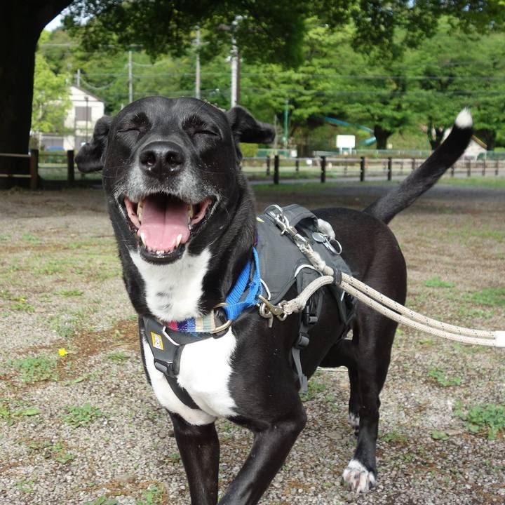 1a9815dd 71b6 4693 ac2b f91fd88f914a 1650588586349