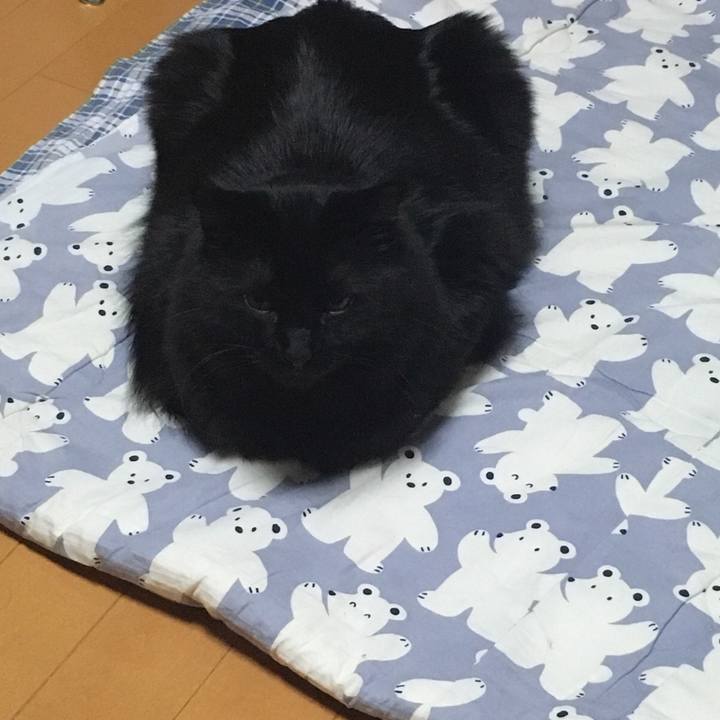 1a984d08 cd83 4d0f 9270 fd702c7daed7 1523540389229