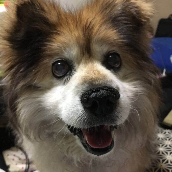 1a986b6a 499d 4894 9d6e c039a549ac4d 1565268431029