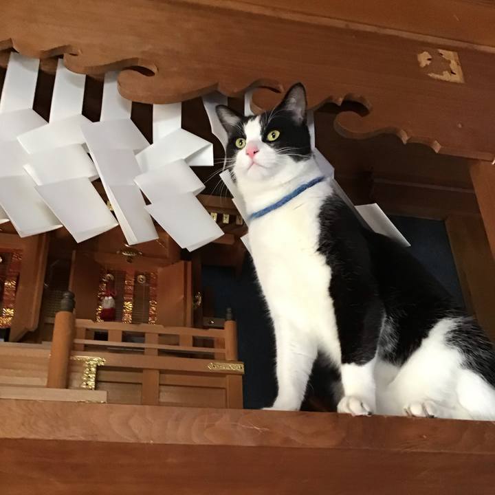 1a98a33a 4458 4e56 9247 28a90d025352 1704188712064