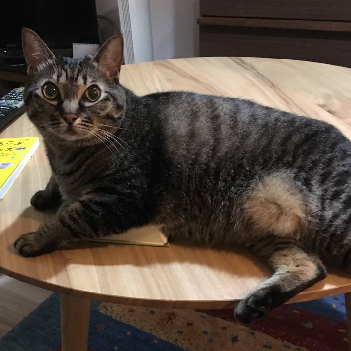 1a98a831 adba 4fda 9644 a839d9bfe441 1593694628688