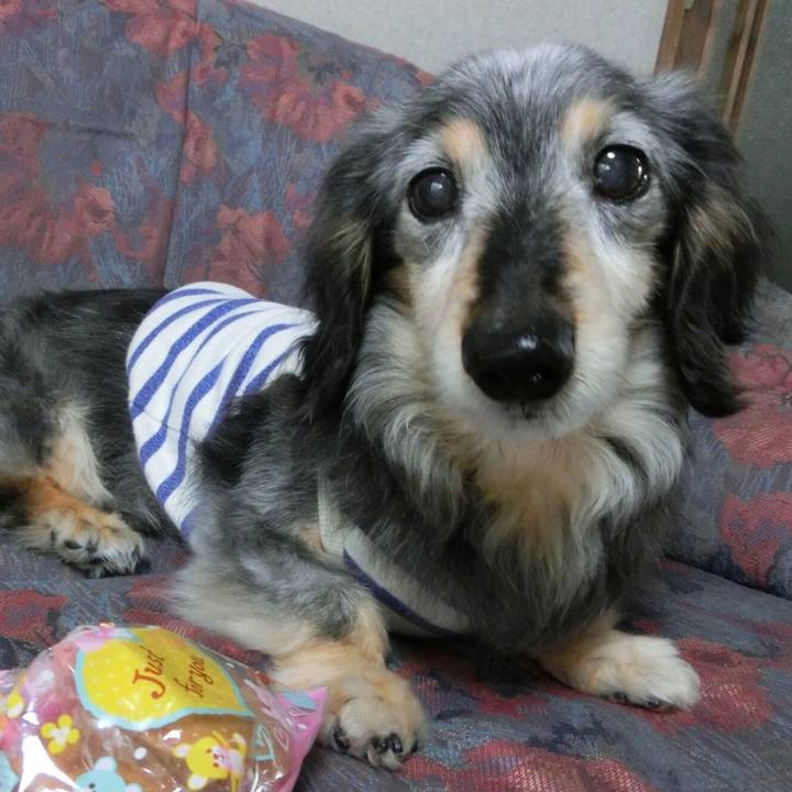 1a98d477 c0e9 4d32 94f7 e737091bc532 1623031219150