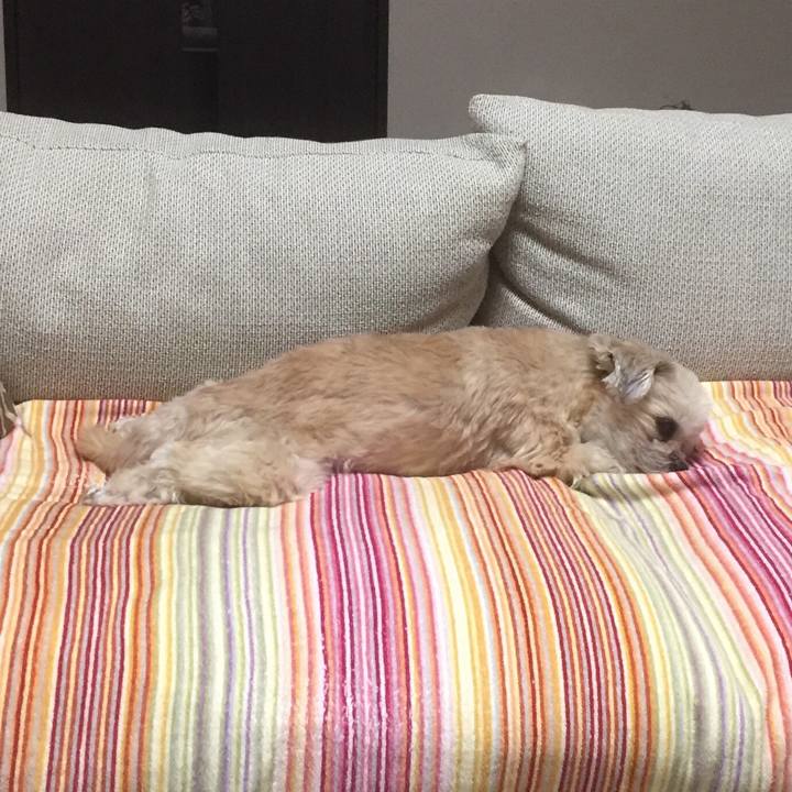 1a99045f 541f 46fe 8933 eb20cf8de18f 1554895039359