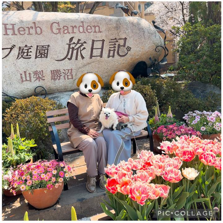 1a993e9f f3c3 4db7 b7e7 c244d1aecda2 1775089700156