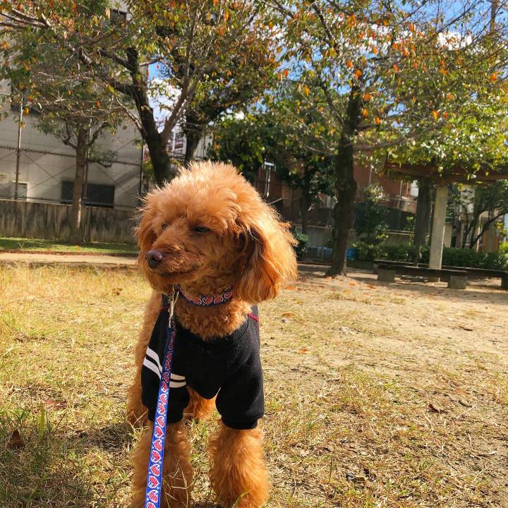 1a994812 d4da 44c2 9272 0557a9bac9db 1636520296583