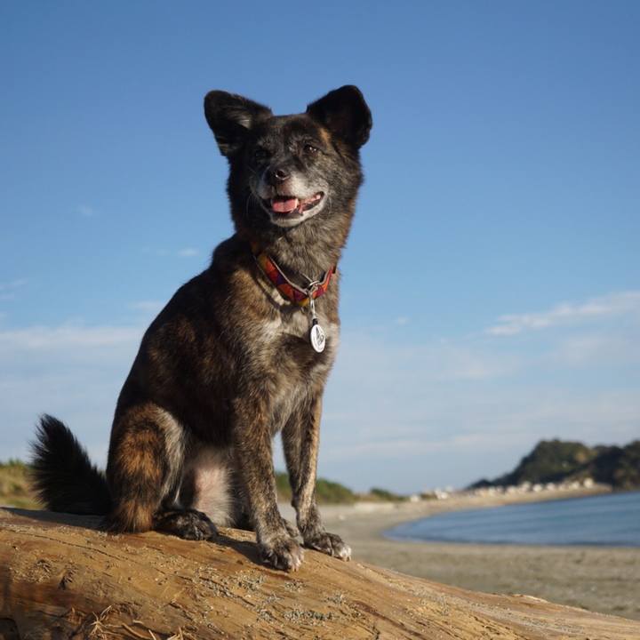 1a997214 2e0f 4cb1 9385 b23a98a6e816 1601468034829