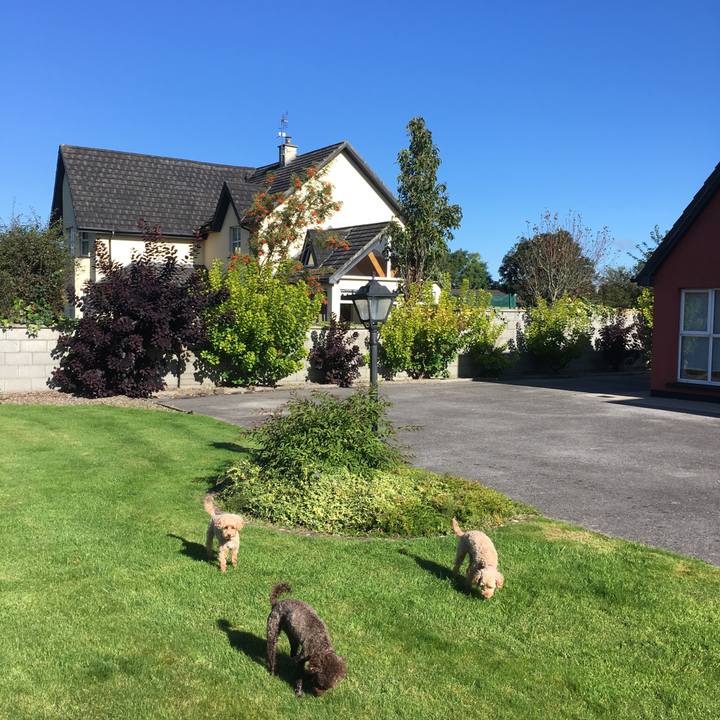 1a99c642 17c2 4637 a60c 483eea82f07f 1568715844123