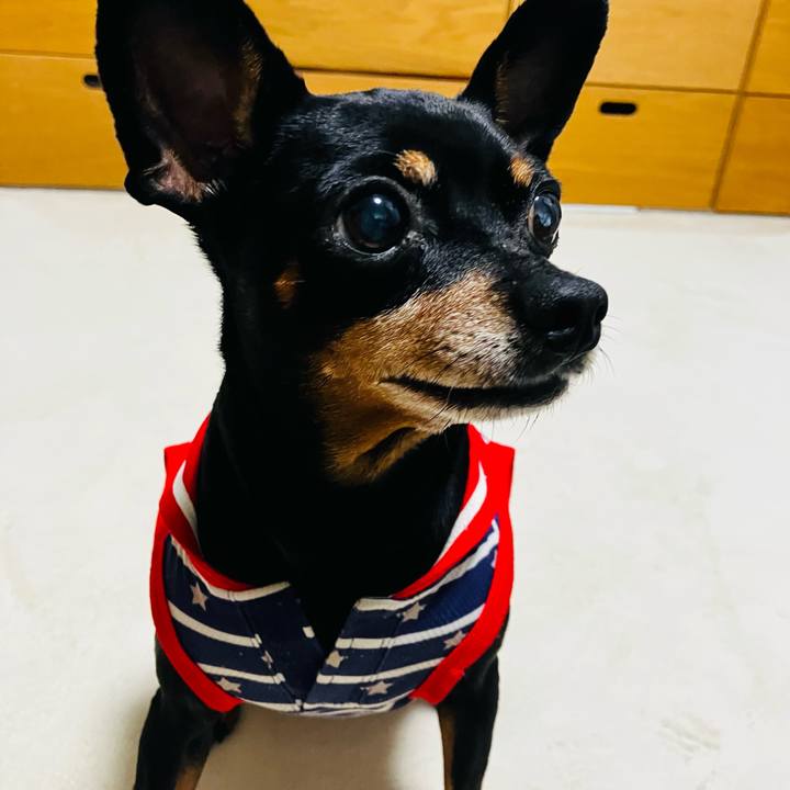 1a99f897 e2eb 476b a173 b9a8474ad1c1 1752360304307