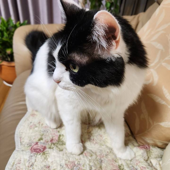 1a9a18f6 d862 48c6 95a9 0d7b20736a5b 1704035648526