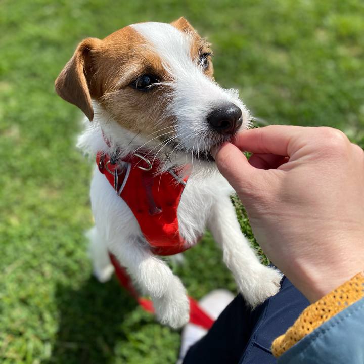 1a9a2ee1 e006 477a b614 b6282b5064c4 1647748411763