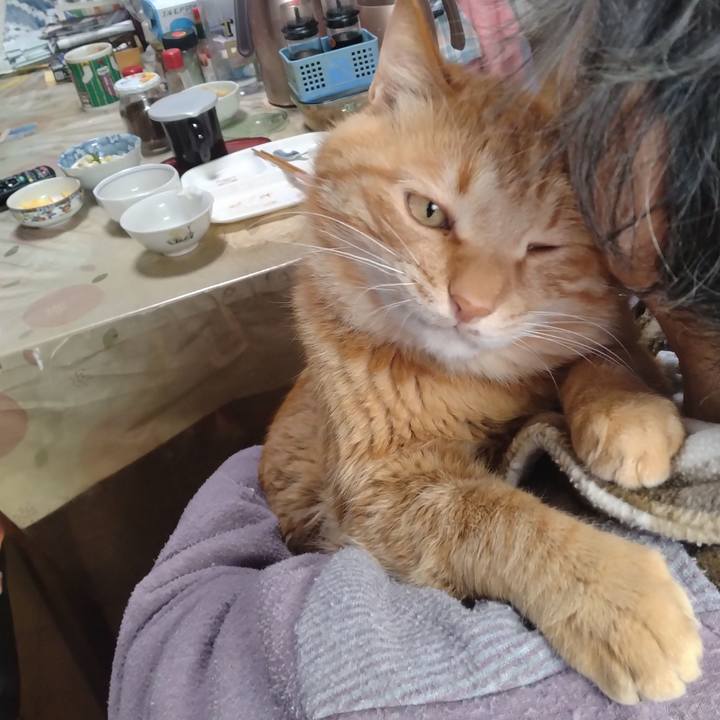 1a9a55ad 94ba 438c 9bce cc671d4e4097 1747037384259