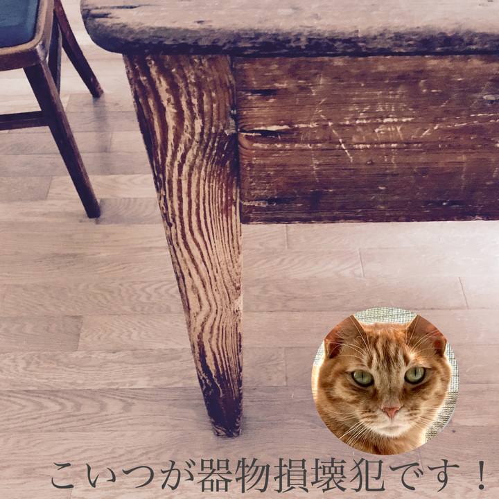 1a9a77ca a2bf 49ee b378 d1ccf9c59b32 1531298699646