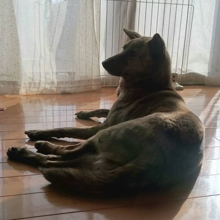 1a9a7cd9 3acb 43d4 9c96 b484df22a76d 1514005571410