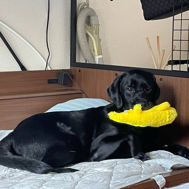 1a9aa24a 5508 44d0 a0f3 a1bc2bccc587 1656458469925