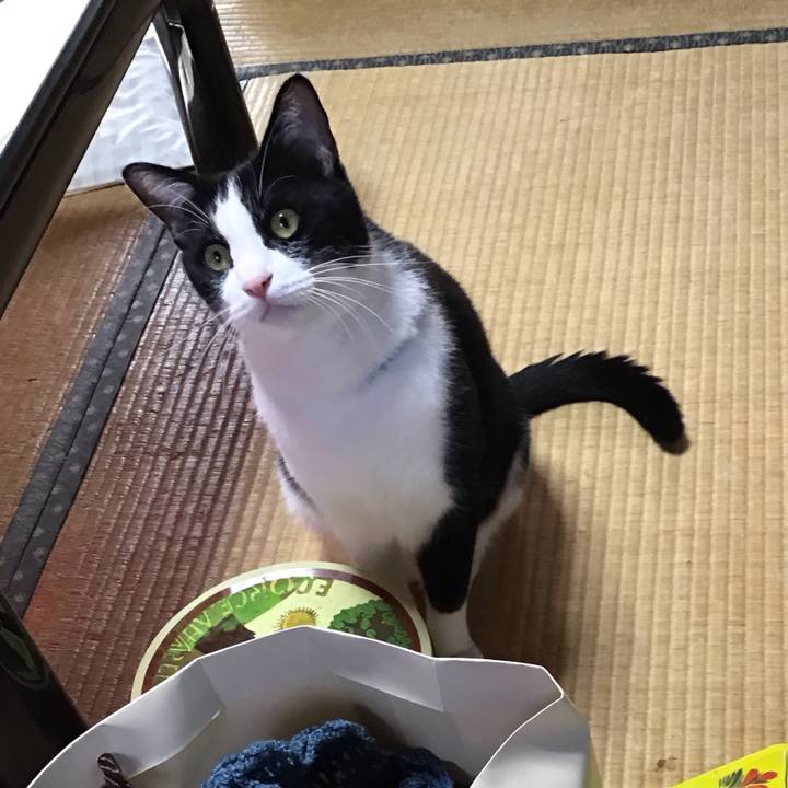 1a9aa5ba 2e27 4f9e aff3 85a0df7a04ac 1695802062991