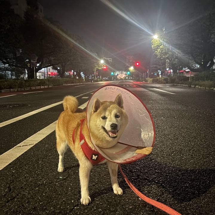 1a9abdee 111b 4fbc 8198 4c830d593a74 1758398544760