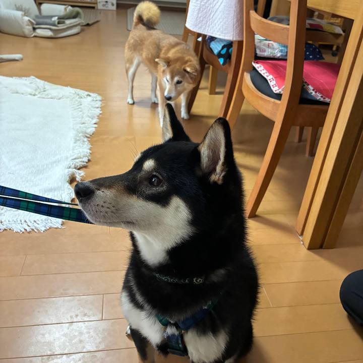 1a9ad608 5b68 4140 ae2a a58a016ab9ce 1768197857176