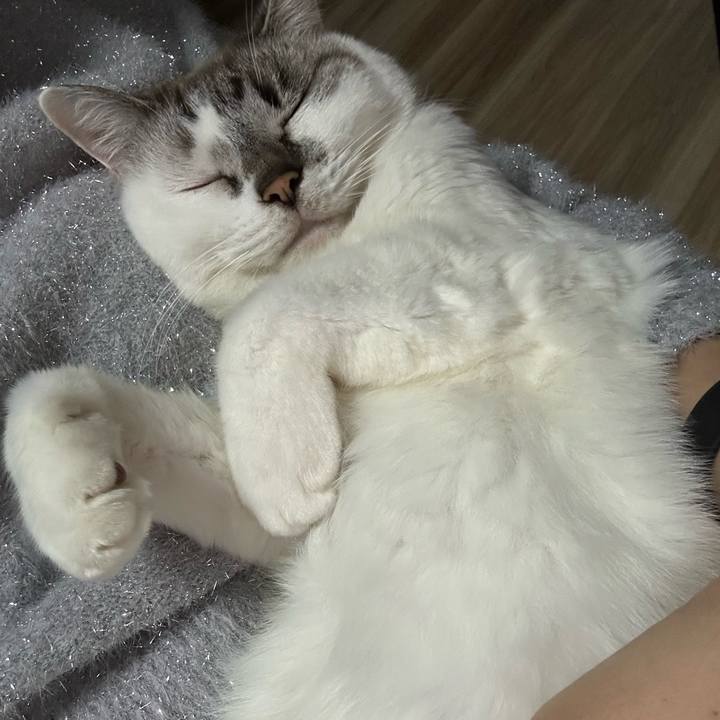 1a9b09b1 5d76 476a 8f9c e54a892f9e5a 1704260263498