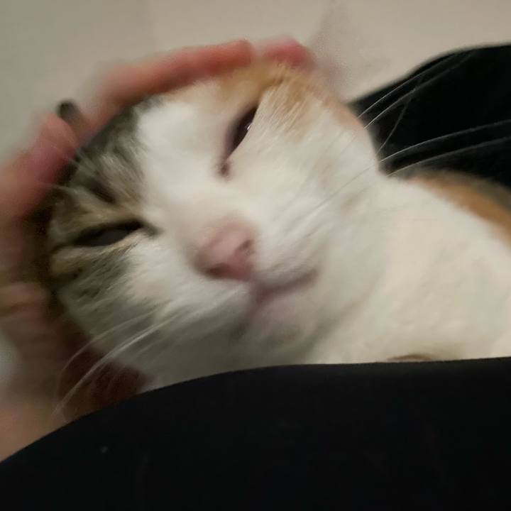 1a9b4912 96ff 453f a161 39ecfc506823 1669650260089