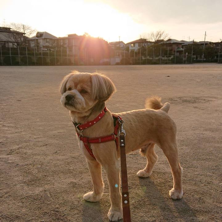 1a9b62e4 fb3c 459d 899d 1151891aedfc 1615283128452